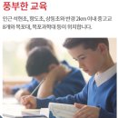목포항도초등학교 이미지