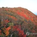 단풍 - 문경시 당교10길 17-3 | 단풍