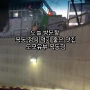 모모유부목동