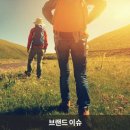 팀필드