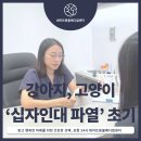 화이트동물메디컬센터 이미지