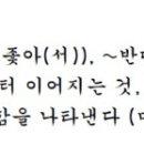 G2596 네이버블로그