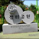 가음정사거리 Daum카페