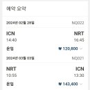 J-022 | AIR JAPAN NQ022/NQ021 인천-나리타 왕복 후기