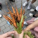 (유)너울에너지 | 사이