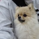 25시 죽곡동물병원 이미지