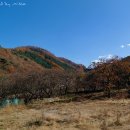 소사목장 이미지