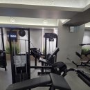 성신헬스 | 마감 뒤엔 ‘운동’보다 ‘몸 세팅’ — 성신여대입구역 헬스 후기