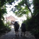 빠당빠당 이미지