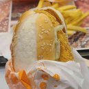 11500-13-25-01 이미지