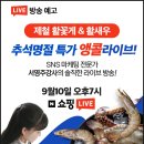 현장에서 직접 하는 스마트스토어 라이브커머스 라이브 방송 엿보기