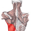 원픽피트니스 이미지