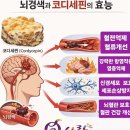 세븐일레븐 월곡영천점 | 큐사랑 월곡영천점의 광산구염색 체험, 두피도 안심!