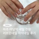 네일리움(NAIL RIUM) | 파주 야당역 네일아트 전문샵 러브온네일 자석네일 후기