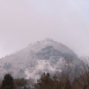 천자봉 농장 이미지