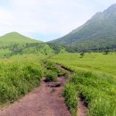 (유)진렌터카 이미지