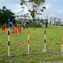 반려동물 테마공원 화장실 이미지