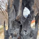 덕천1리 경로당 이미지