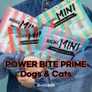플랜트 & 애니멀 | 톨이의 영양 기록