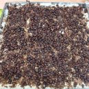 영양읍사무소 이미지