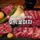 전통참숯화로구이 | 대전 봉명동 야끼니꾸 맛집 호박꽃마차 최상급 와규 참숯 화로구이 솔직 후기