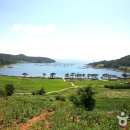 청산도 Daum카페
