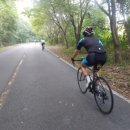 심원면자전거길3 | &#34;변산해수욕장에서 심원면사무소까지! 해안 절경 따라 떠나는 62km 자전거 여행&#34;
