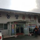 군산 한우농장 이미지