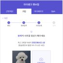 펫뱅크 이미지