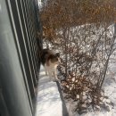 김병배 | Unhappy New Year