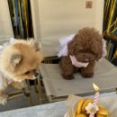 월월스낵 이미지