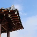 행정용 25 이미지