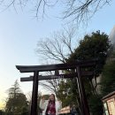 도고샘입구교차로 3 | 일본 도쿄 자유여행 | 직접 다녀온 3박4일 코스 추천 쇼핑 관광 위주 일정