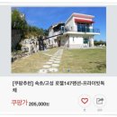 로젤 147 티스토리