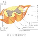 임상심리학 이미지