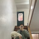 pure over 퓨어오버 이미지