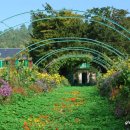 지베르니 이미지