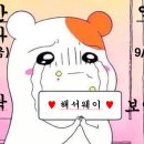 (주)삼화여객 자동차 | [안내/공유🅾️] 그풀캠(9/4) + 인천(9/5) 서해안투어 해서웨이를 사랑하는 가좍들 보세요...♥