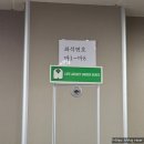 11 | 울릉도 독도 입도 6월 여름휴가 여행 씨스타11 후기