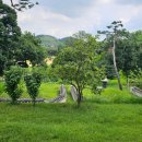 귀인조씨묘 이미지