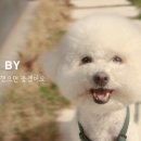 (주)더닥터 이미지