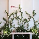 은대리 문화벽돌공장 이미지