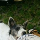 동천 동물병원 이미지