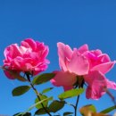 마음다짐 - 용산구 백범로87길 54 | 마음다짐