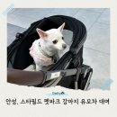 스타펫 | 경기 안성 스타필드 펫파크 강아지 유모차 대여 애견동반 후기