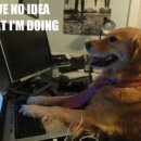 TOON GAMES (EV PC방) | [(내배캠) PM트랙_TIL_7일차]직무스터디 2일차