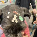(주)그레이앤코