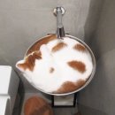밈밈 이미지