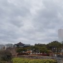태화루 Daum카페