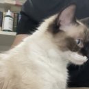 작고 소중해 이미지